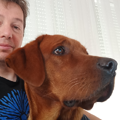 undur_gongor@bsd.network